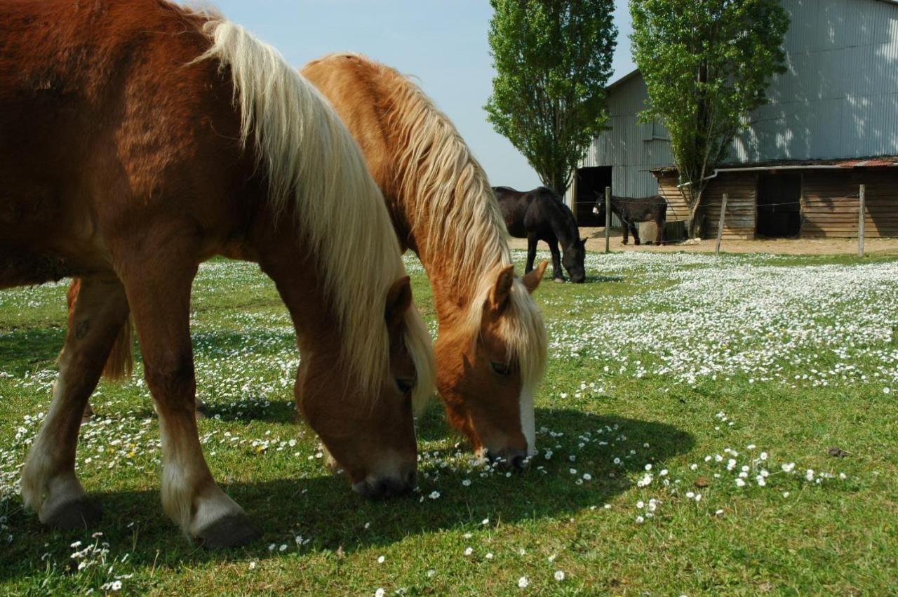 Mobilhome Sous Chalet En Bois A La Ferme Josnes Dış mekan fotoğraf